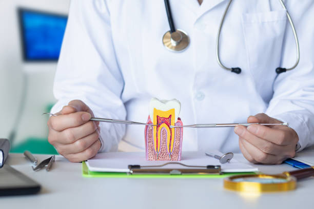 Best Emergency Dental Services for Seniors in Lucasville, OH